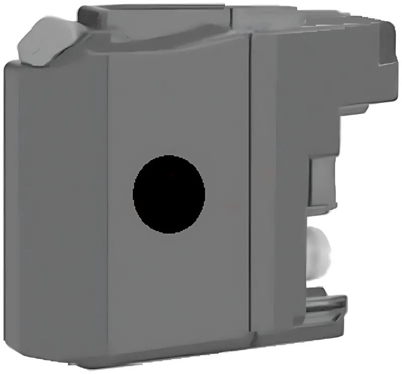 Kompatibel PRIBLC221BK Tintenpatrone schwarz, 260 Seiten (ersetzt Brother LC221BK)