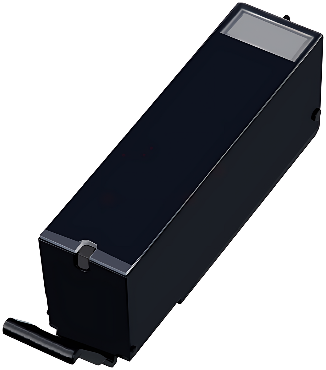 Kompatibel PRICPGI555PGBKXXL Tintenpatrone schwarz pigmentiert, 1.000 Seiten (ersetzt Canon PGI-555PGBKXXL)